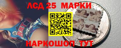 индика Усть-Джегута