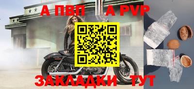 индика Усть-Джегута