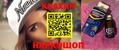 индика Усть-Джегута