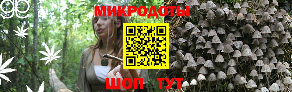 Псилоцибиновые грибы мицелий Архангельск