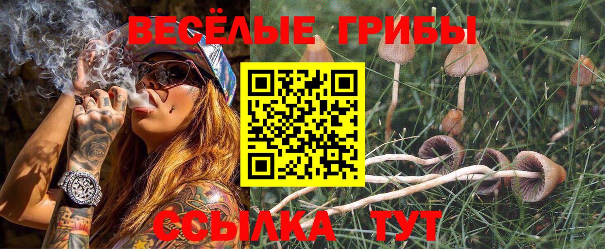 Галлюциногенные грибы мицелий  Псилоцибиновые грибы Cubensis  Вход с VPN  Архангельск 